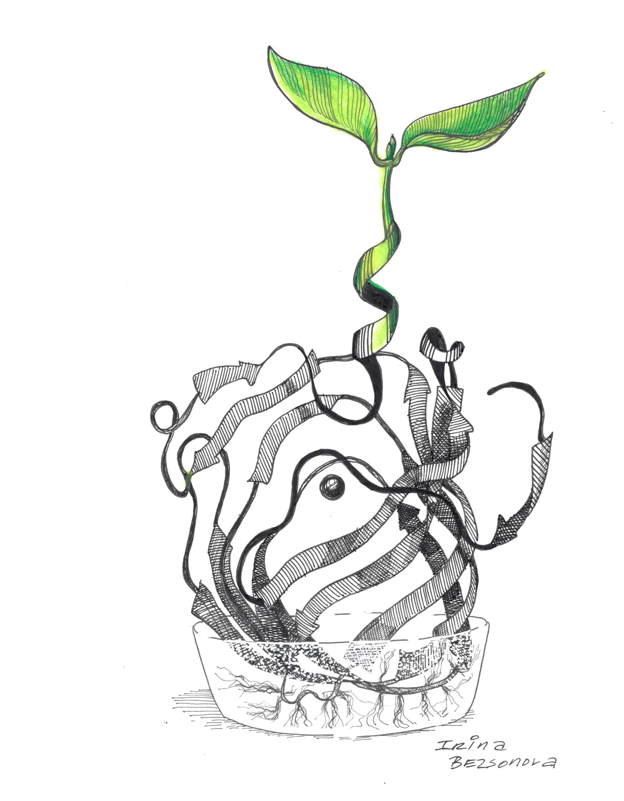 Ink drawing of a green seedling growing from the ribbon structure of a protein, by Irina Bezsonova.